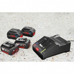 Bosch 2xProCore 18V + GAL18V-160C + GCY 42 Set 2 acumulatori Li-Ion, 18V, 12Ah + Incarcator Power Boost de 16Ah + Modul de conec