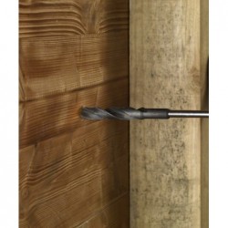 Bosch Burghiu pentru lemn, 100x400mm