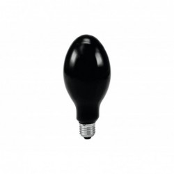 Philips Bec incandescent E27, 125W, 125V