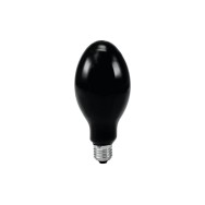 Philips Bec incandescent E27, 125W, 125V