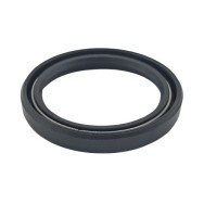 REMS Semering 060310