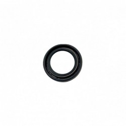 REMS Semering 060312