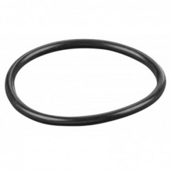 REMS O-ring 060250