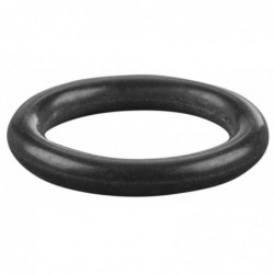 REMS O-ring 060165