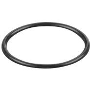 REMS O-ring 060284
