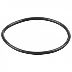 REMS O-ring 060107