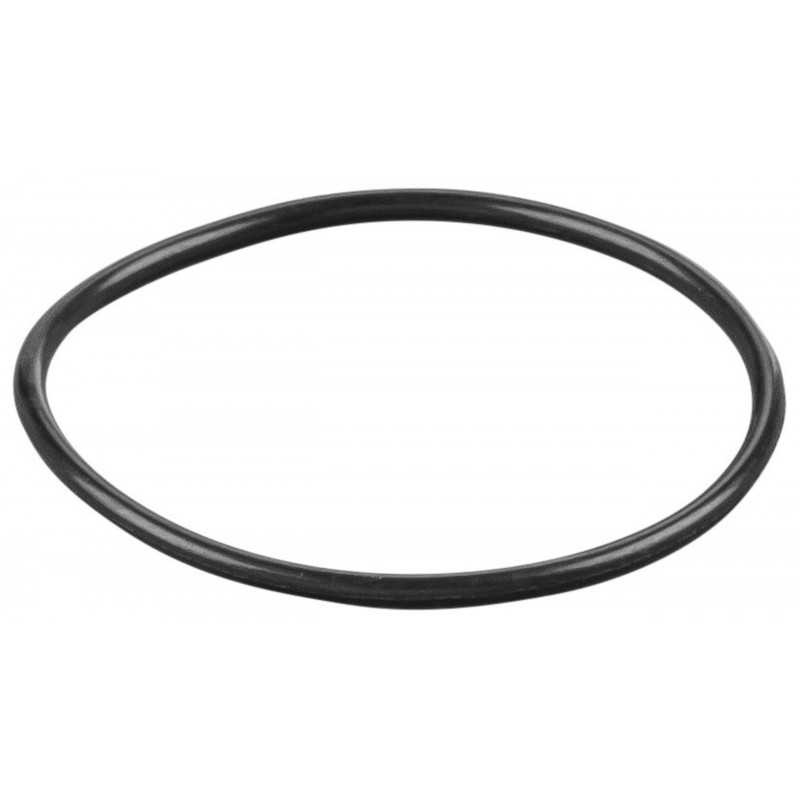 REMS O-ring 060107