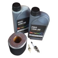 Progarden Pachet revizie motor benzina 188F, 190F, 192F