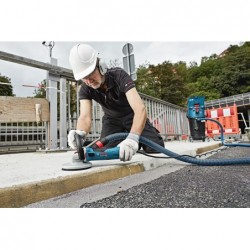 Bosch Disc oala Expert for Concrete 125mm