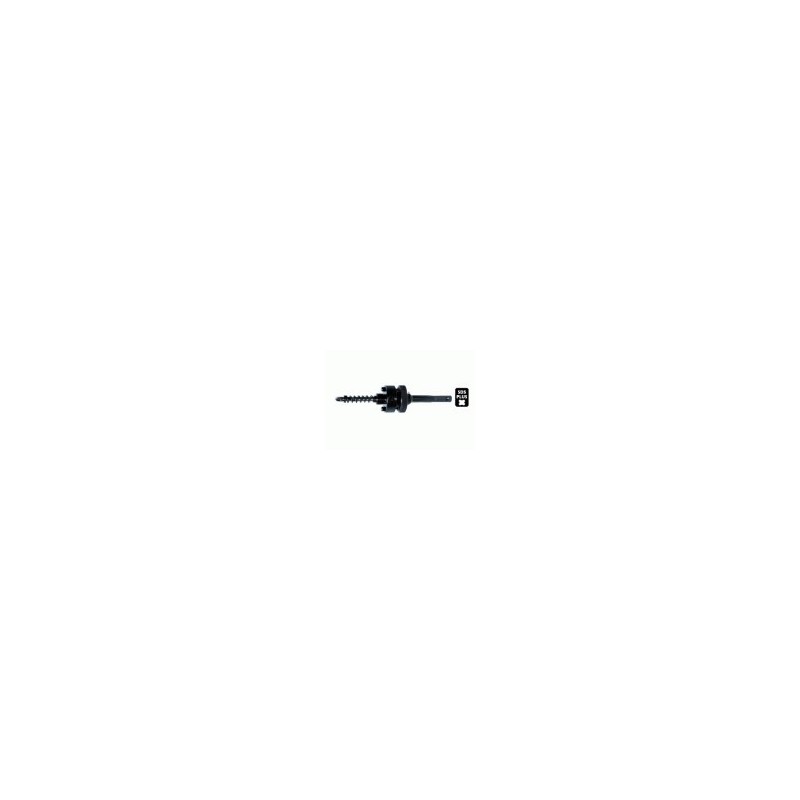 Bosch Cap de surubelnita Torx 10